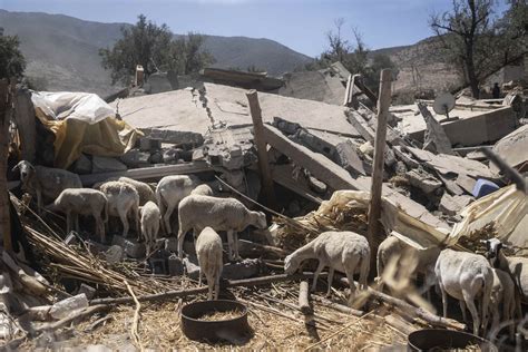 Dozens of remote Moroccan villages struggle in aftermath of earthquake